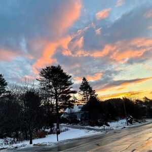 Meet your Posher, Tana